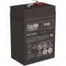 Аккумуляторная батарея FIAMM FG10451 7332865